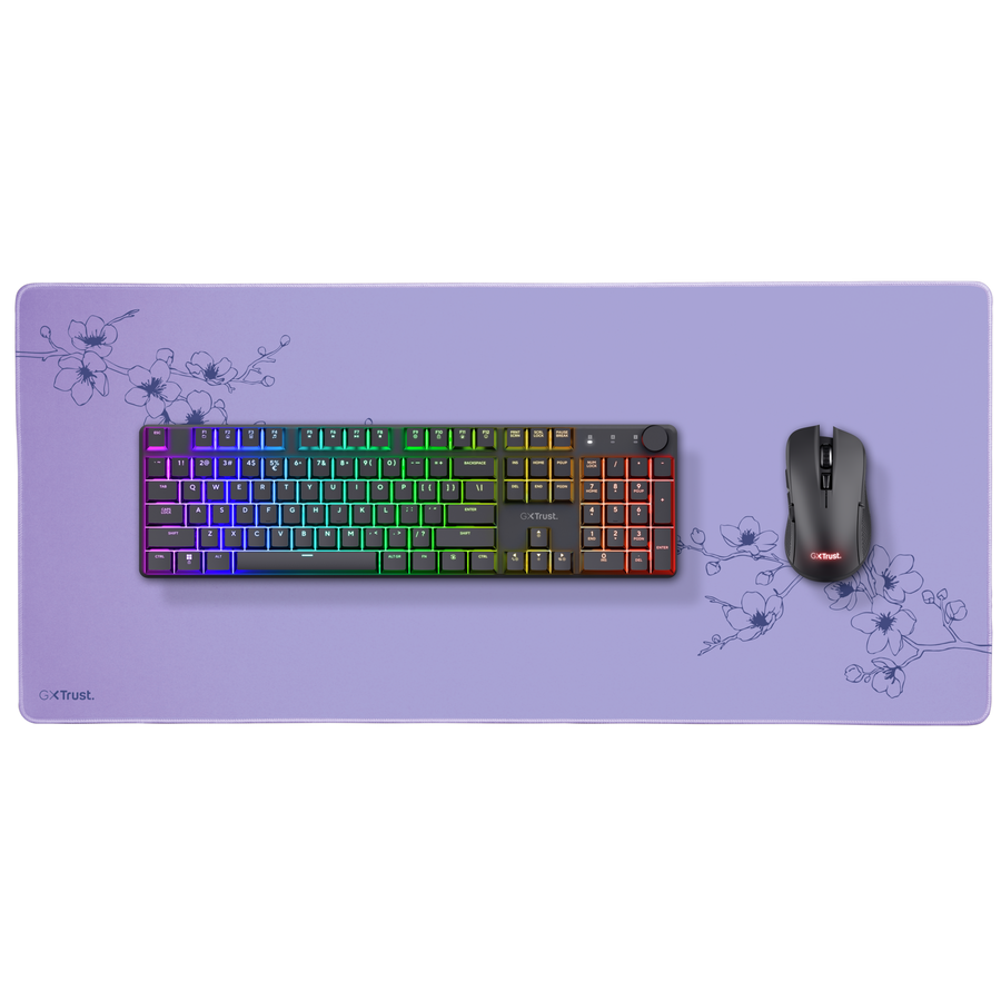 Product 5