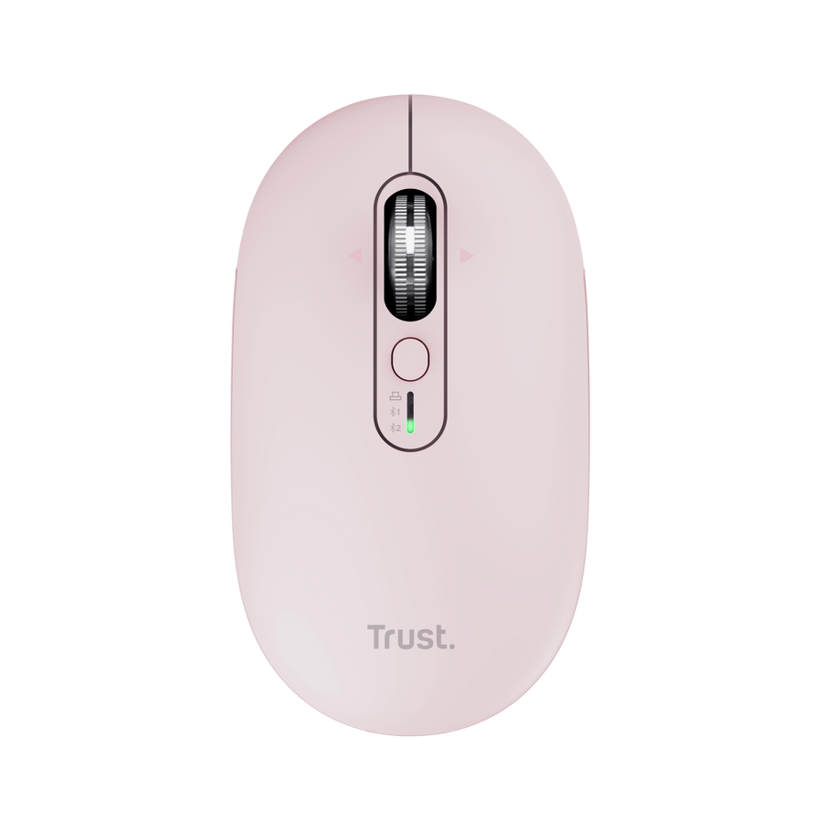 Product 4