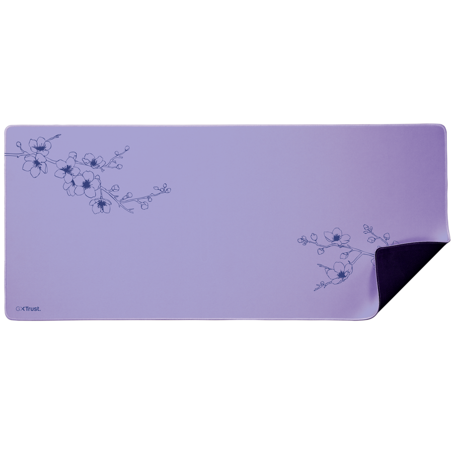 Product 4