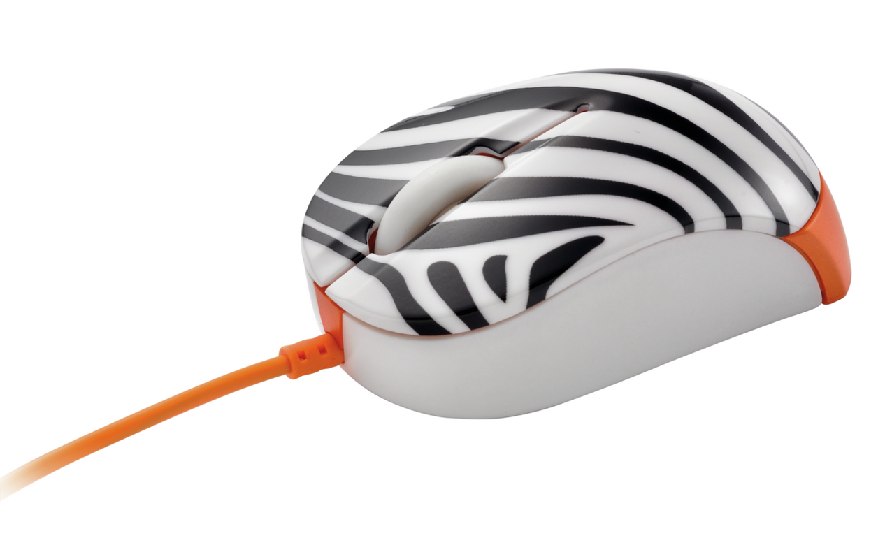 Micro Mouse - zebra-Visual