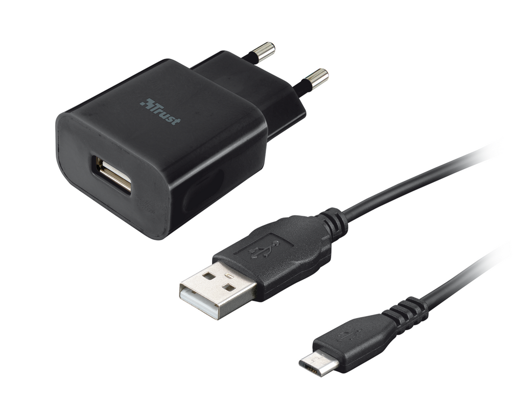 5W Wall Charger with Micro USB cable - black-Visual
