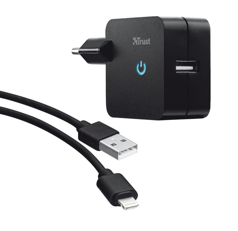 12W Wall USB Charger with Lightning cable - black-Visual