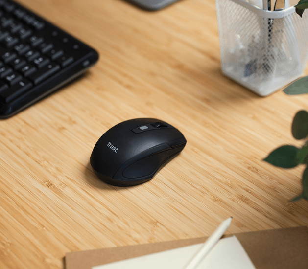 Product Highlight image Mouse in pole position