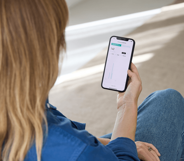 Product Highlight image Insight into your energy consumption