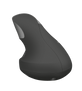 Varo Ergonomic Wireless Mouse-Back