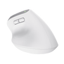 Bayo+ Multidevice Ergonomic Wireless Mouse - White-Back