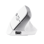 Bayo II Ergonomic Wireless Mouse - White-Front