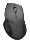WMS-123 Wireless Mouse-Top
