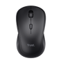 TM-250 Wireless Mouse-Top