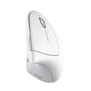 Verto Ergonomic Wireless Mouse - White-Top