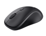 TM-250 Wireless Mouse-Visual