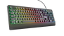 Ziva Gaming Rainbow LED Keyboard-Visual