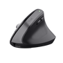 Bayo+ Multidevice Ergonomic Wireless Mouse-Visual