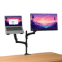 Mara Monitor & Laptop Arm -Visual