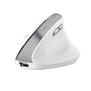Bayo II Ergonomic Wireless Mouse - White-Visual