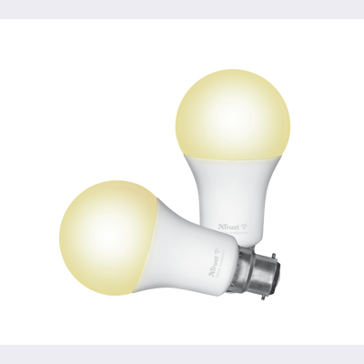 Smart WIFI LED Bulb White Ambience B22 (duo-pack)-Visual